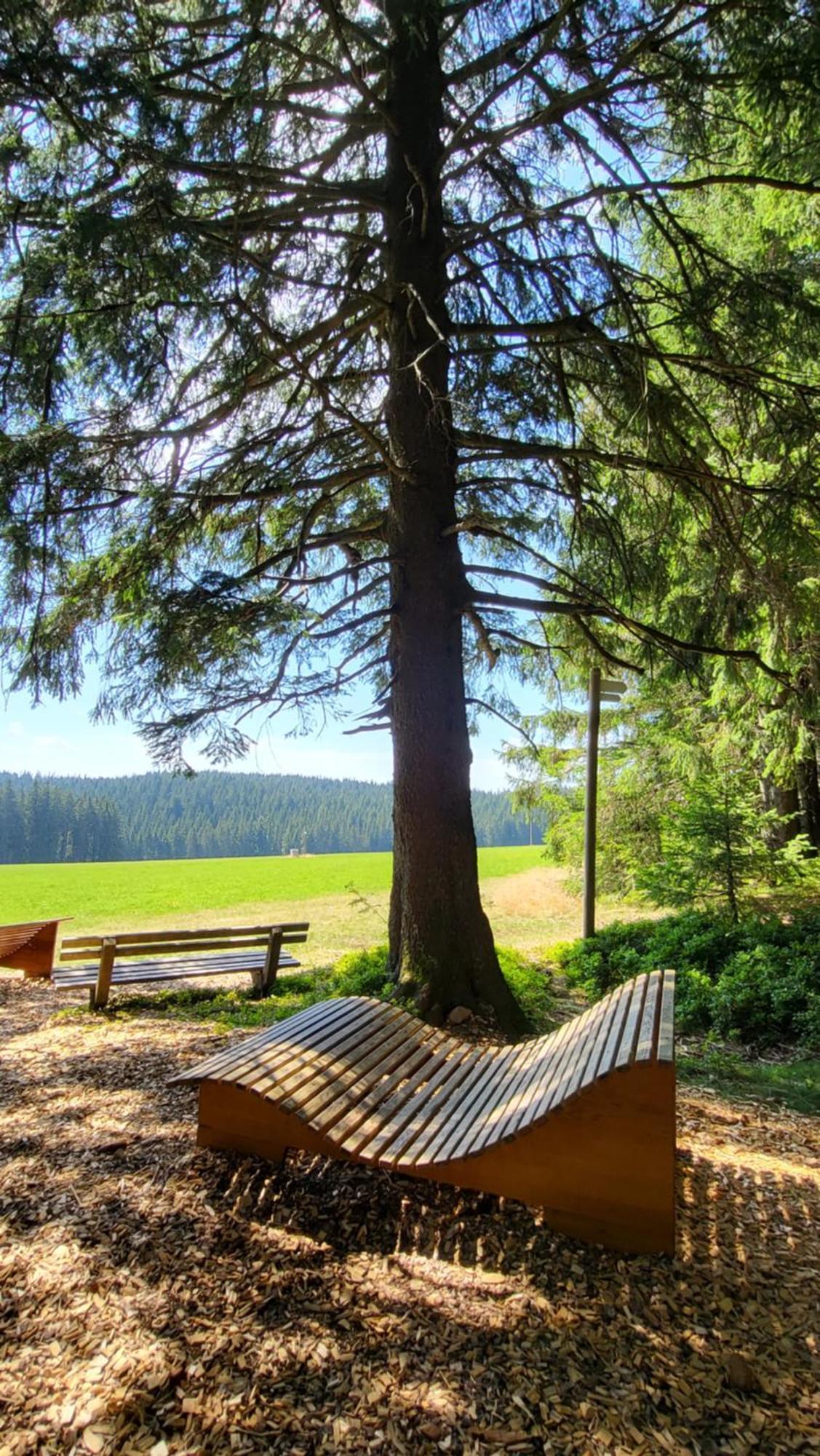 Gretel * Schoenwald im Schwarzwald