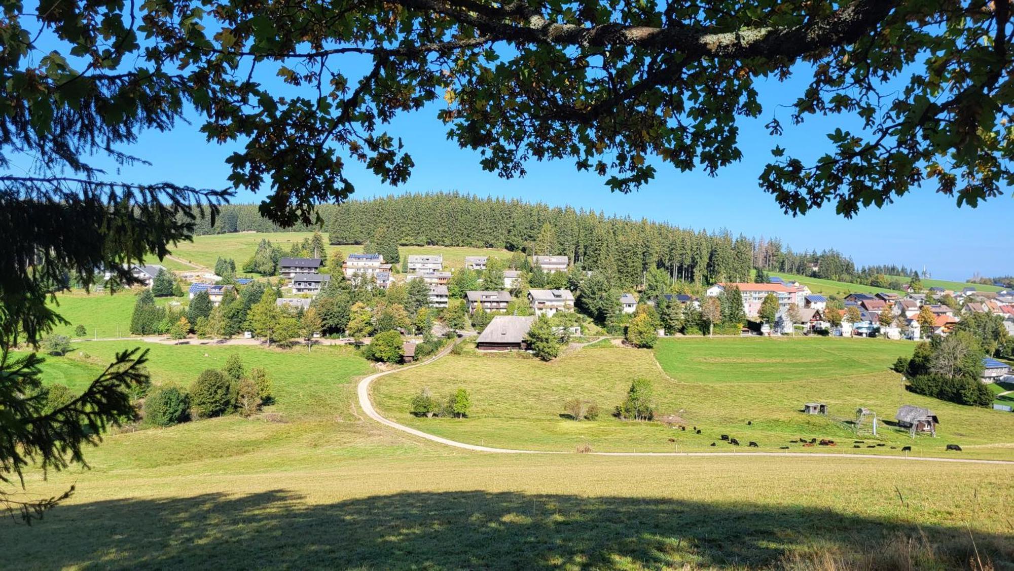 Gretel Apartment Schoenwald im Schwarzwald